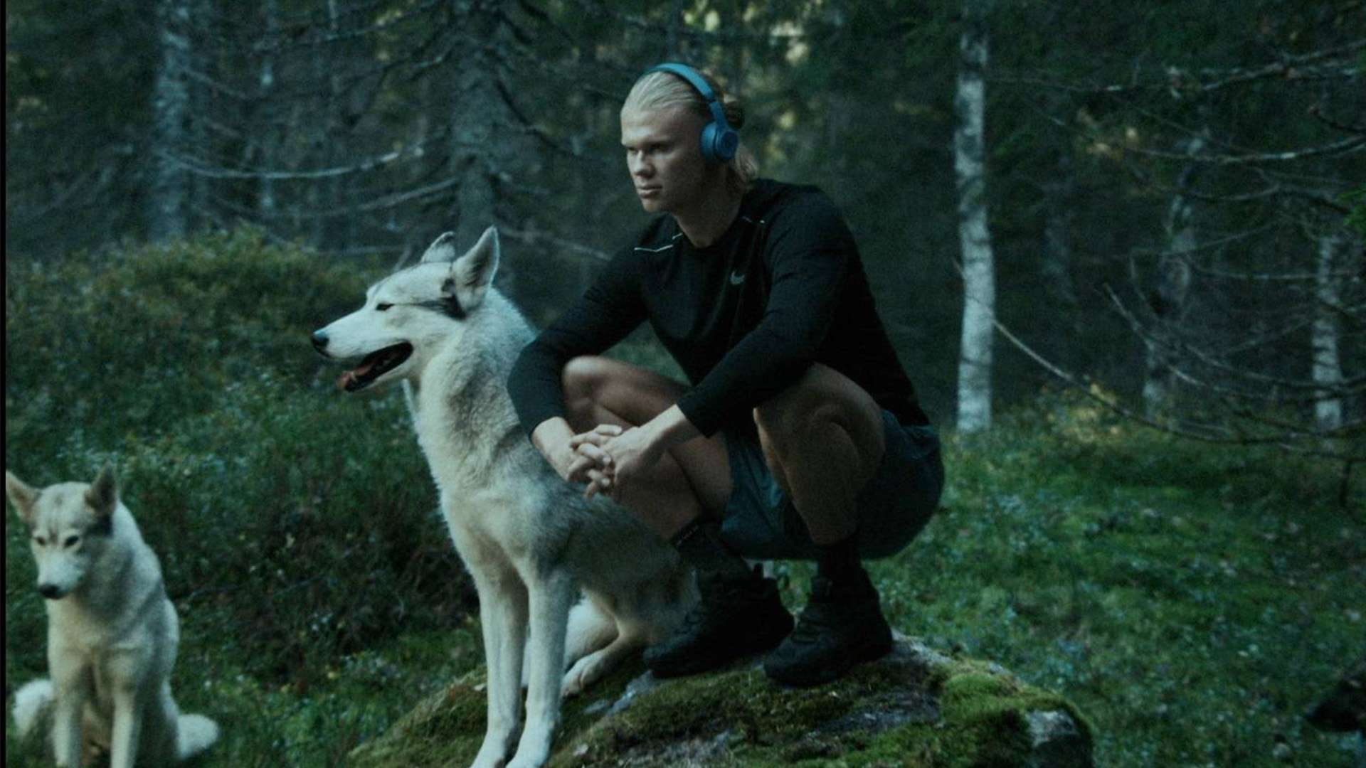 頂級賽場初 頂級賽場初